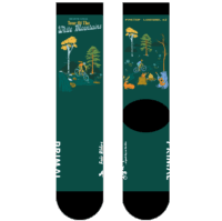 2025 Tour of the White Mountains Socks (Pre-order)